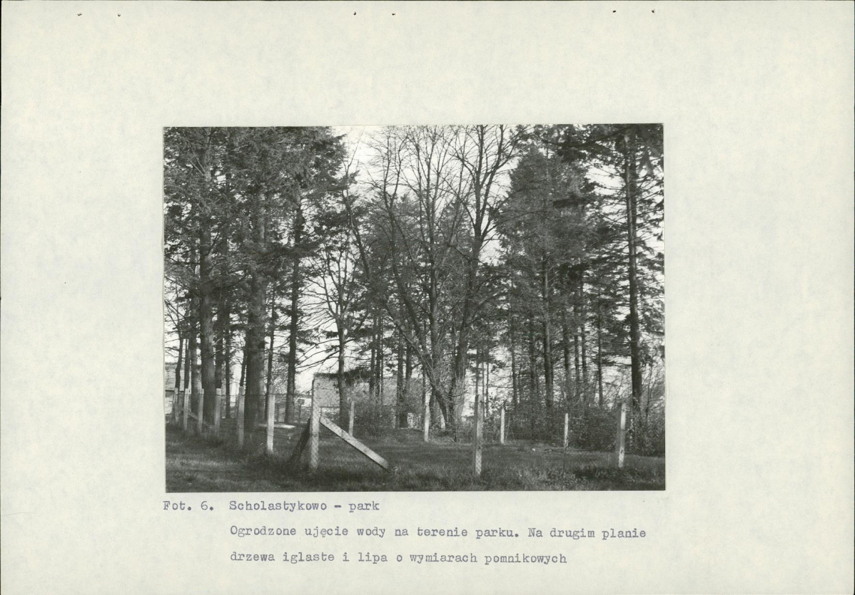 Ewidencja parkowa, skan nr 24