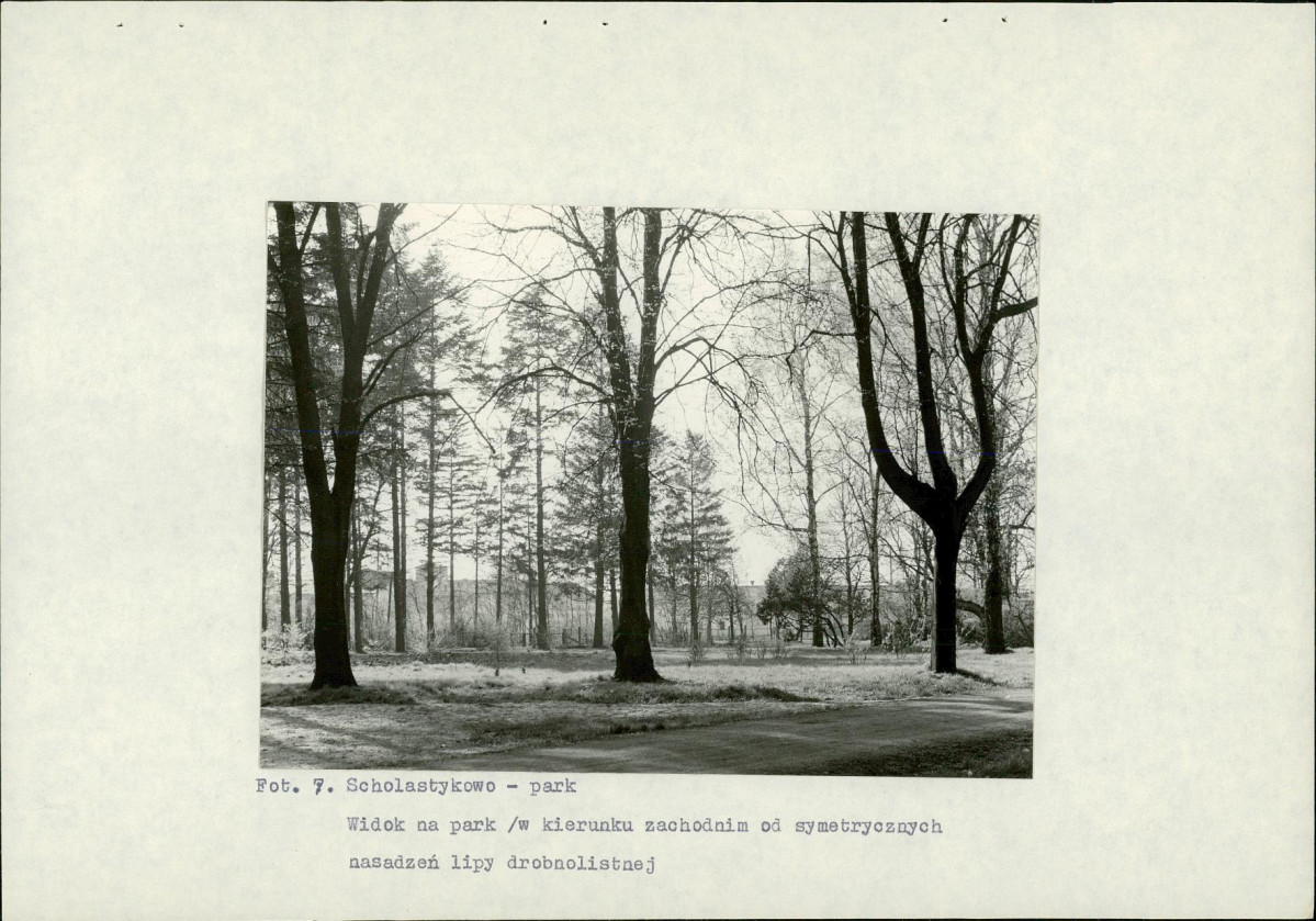 Ewidencja parkowa, skan nr 25