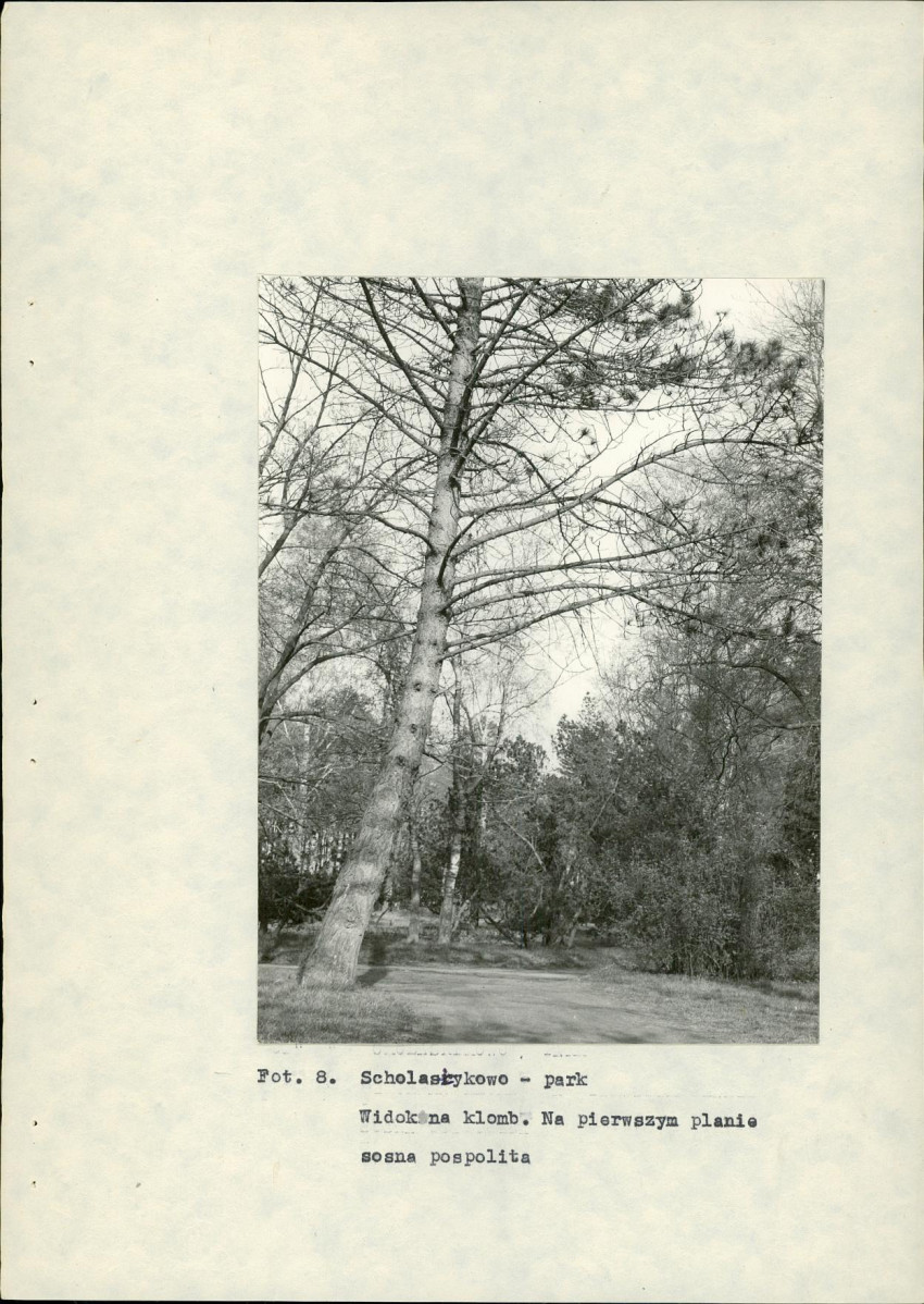 Ewidencja parkowa, skan nr 26