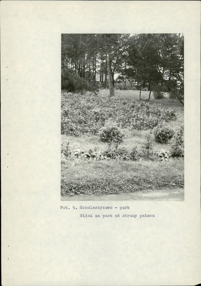 Ewidencja parkowa, skan nr 27