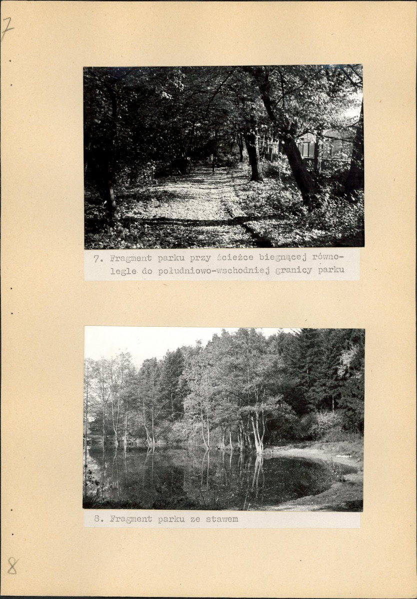 Ewidencja parkowa, skan nr 33