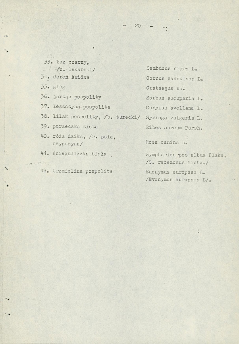 EP - Ewidencja parkowa, skan nr 26