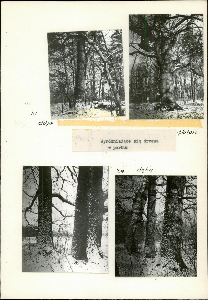 EP - Ewidencja parkowa, skan nr 47