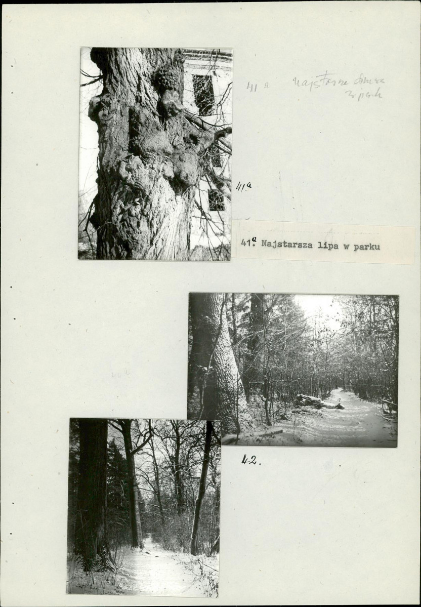 EP - Ewidencja parkowa, skan nr 48