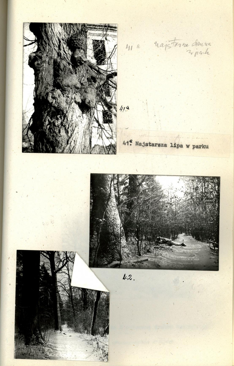 EP - Ewidencja parkowa, skan nr 49
