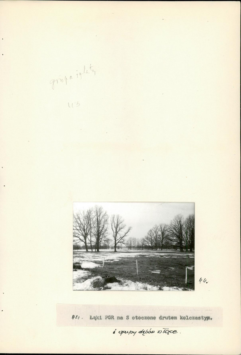 EP - Ewidencja parkowa, skan nr 50
