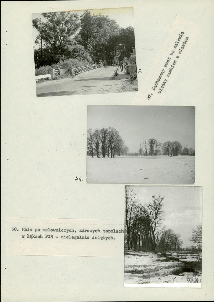 EP - Ewidencja parkowa, skan nr 52
