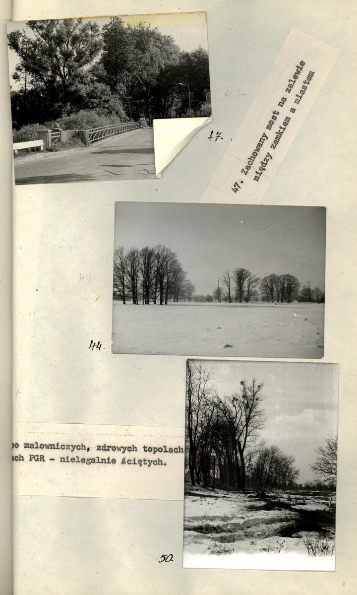 EP - Ewidencja parkowa, skan nr 53