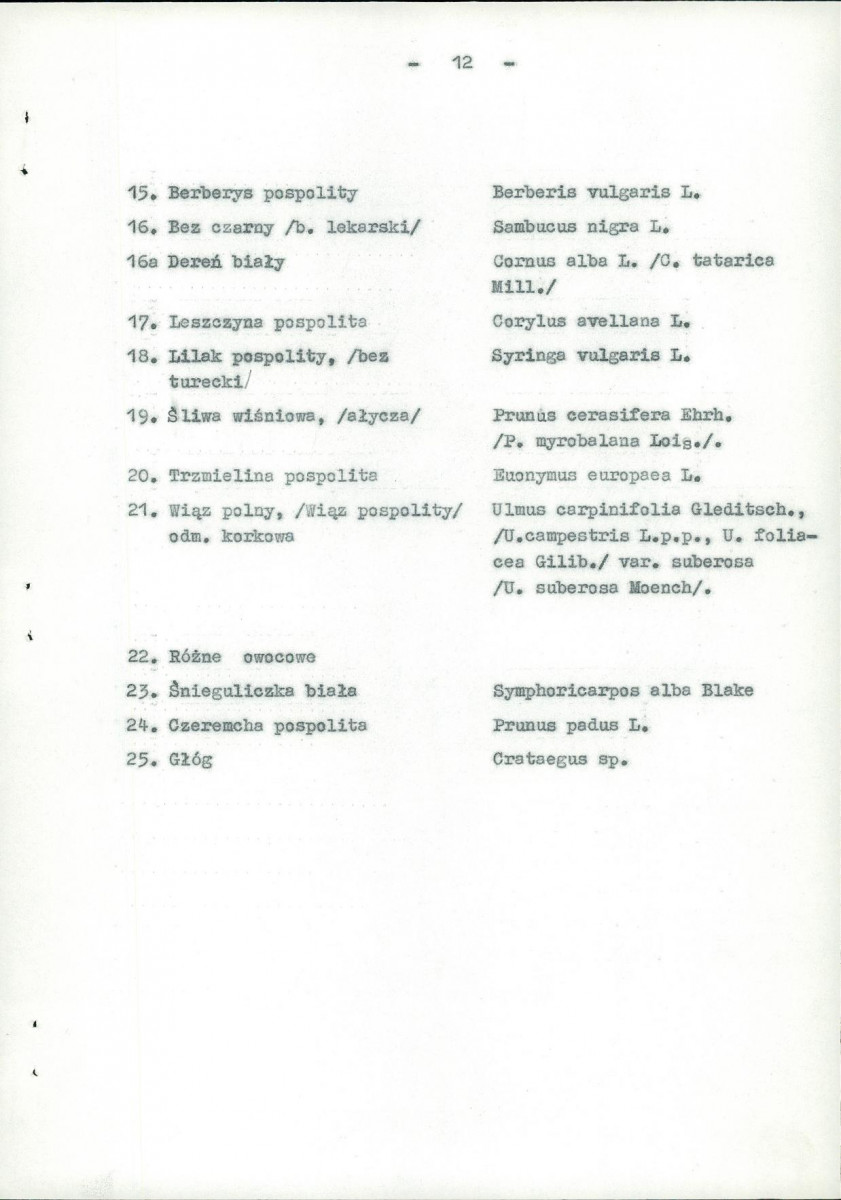 Ewidencja parkowa, skan nr 19