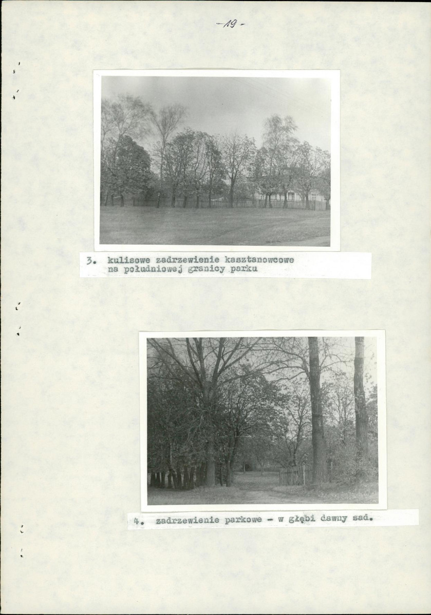 Ewidencja parkowa, skan nr 26