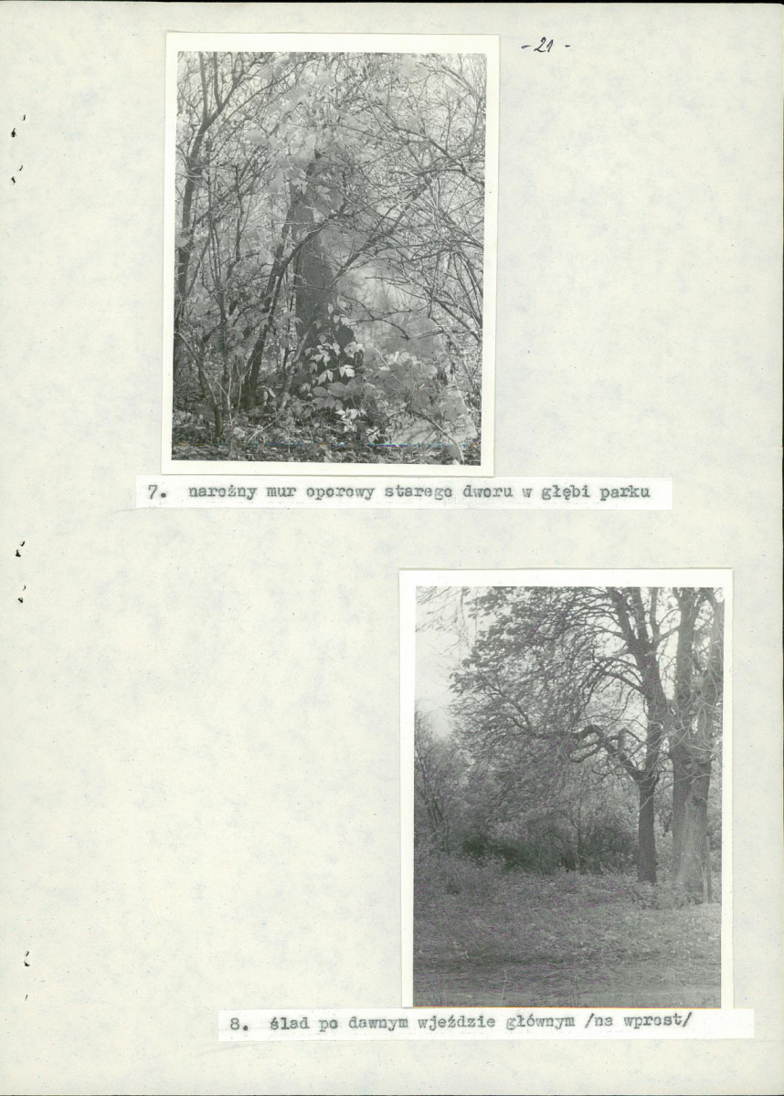 Ewidencja parkowa, skan nr 28