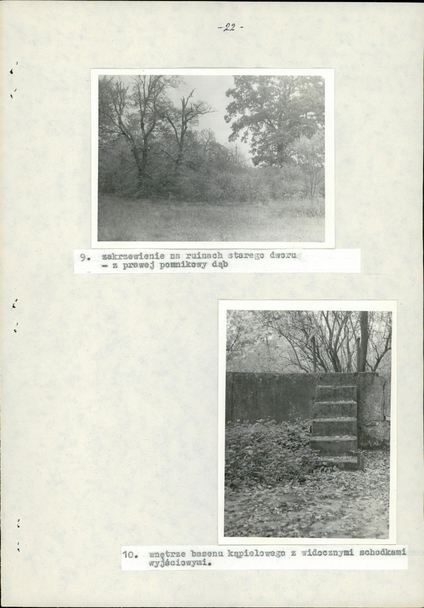 Ewidencja parkowa, skan nr 29
