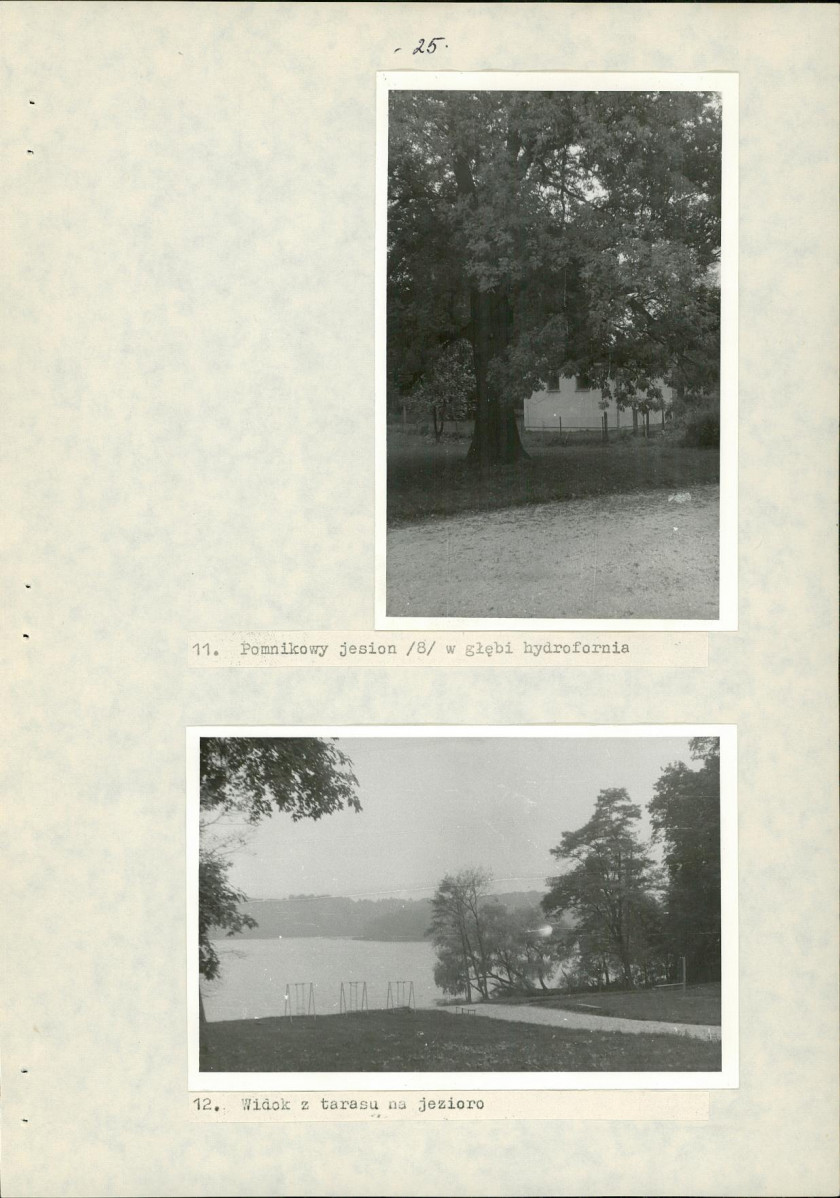 Ewidencja parkowa, skan nr 31