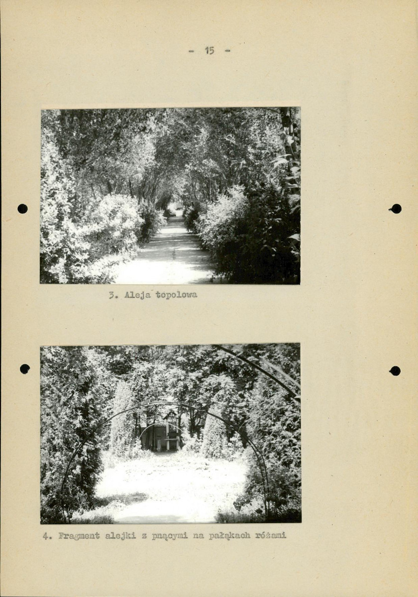 Ewidencja parkowa, skan nr 22