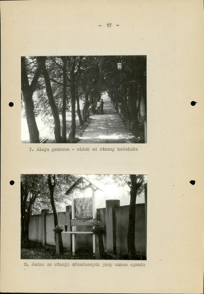 Ewidencja parkowa, skan nr 24
