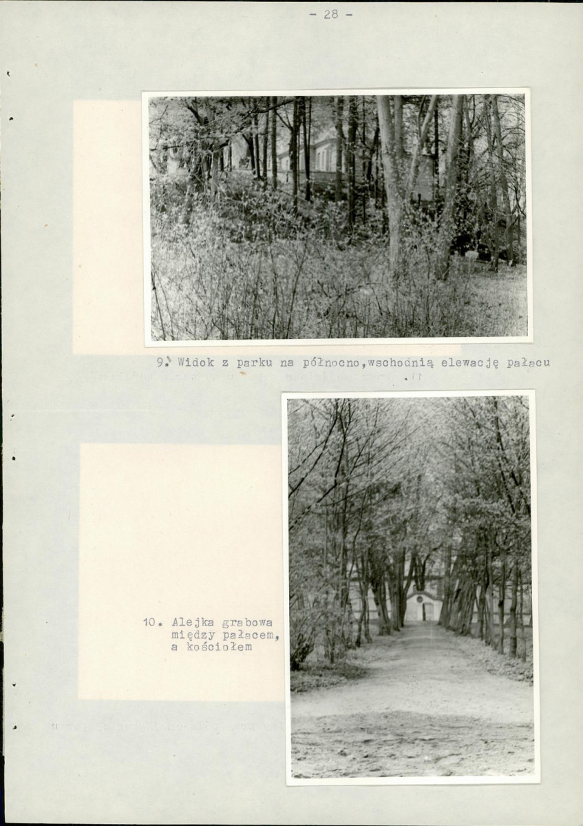 Ewidencja parkowa, skan nr 38