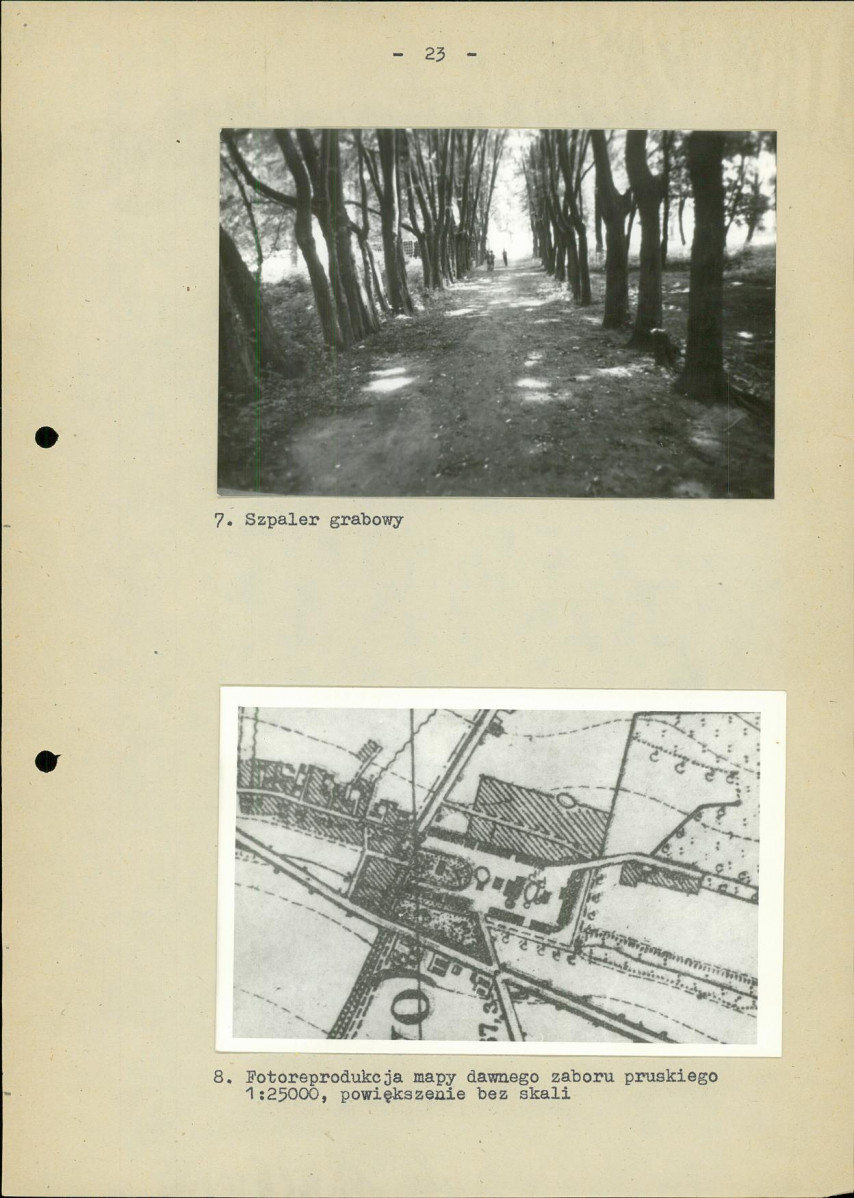 EP - Ewidencja parkowa, skan nr 29