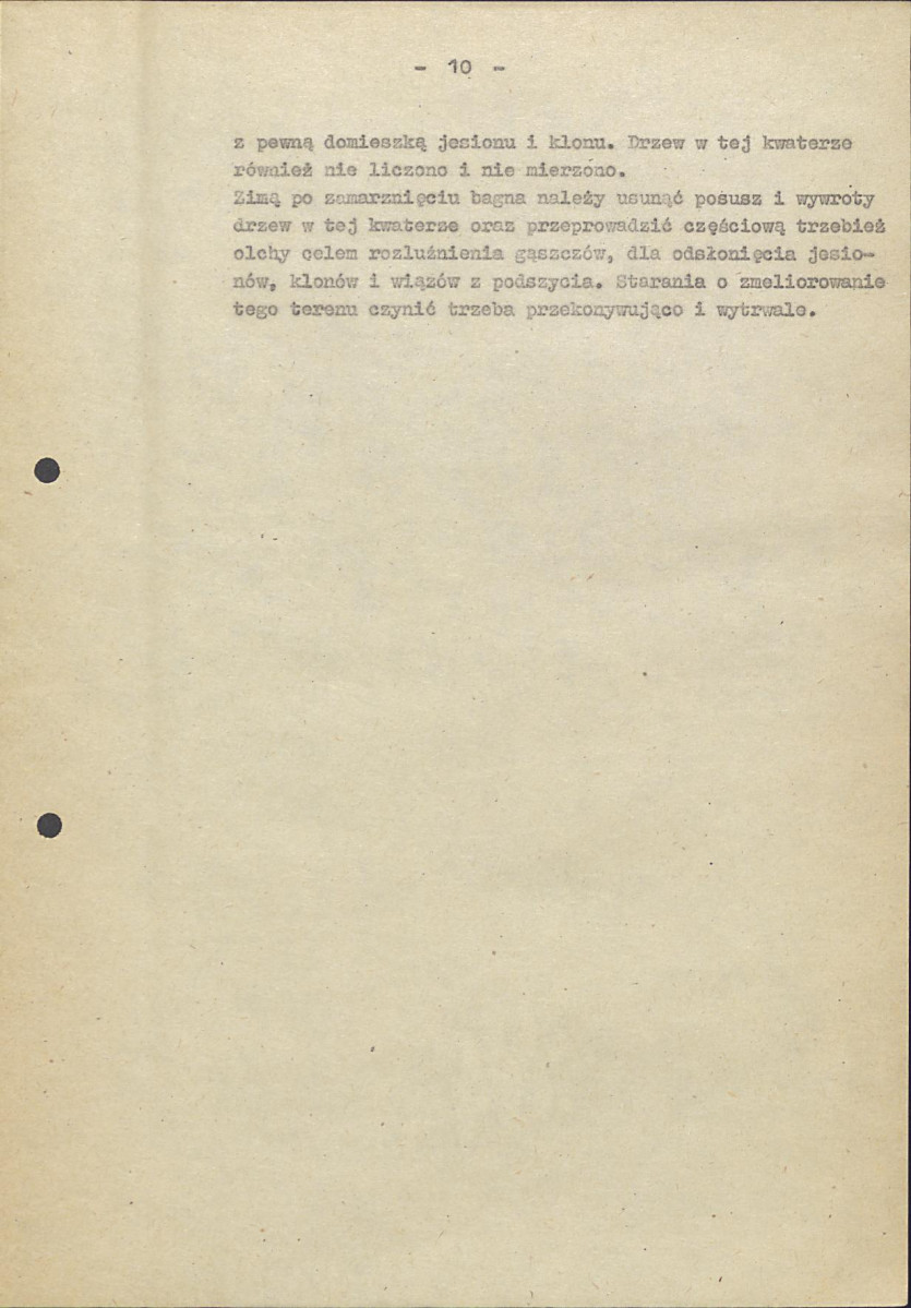 Ewidencja parkowa, skan nr 17