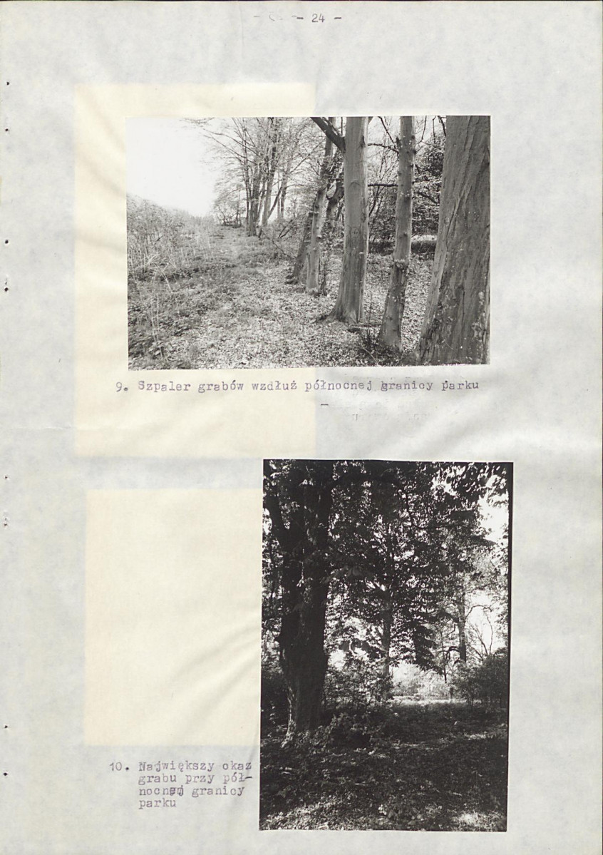 Ewidencja parkowa, skan nr 32
