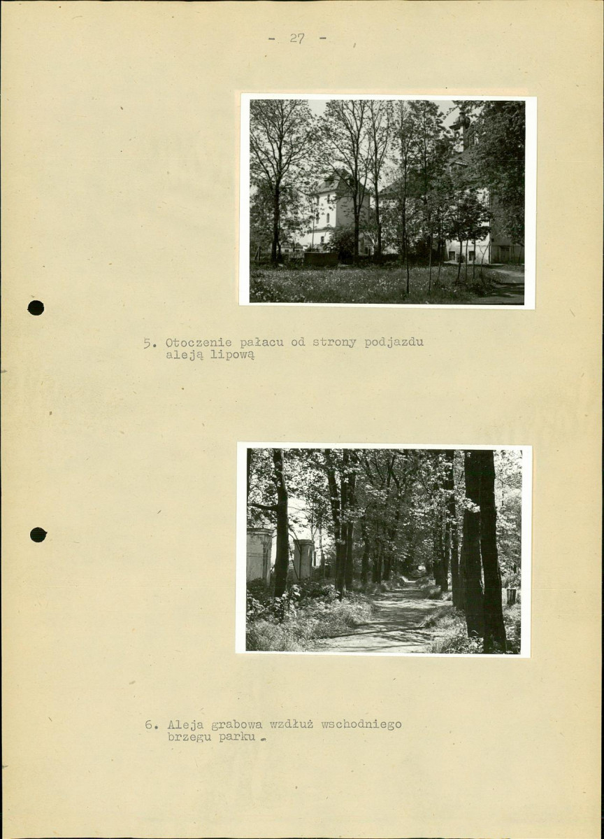 Ewidencja parkowa, skan nr 34