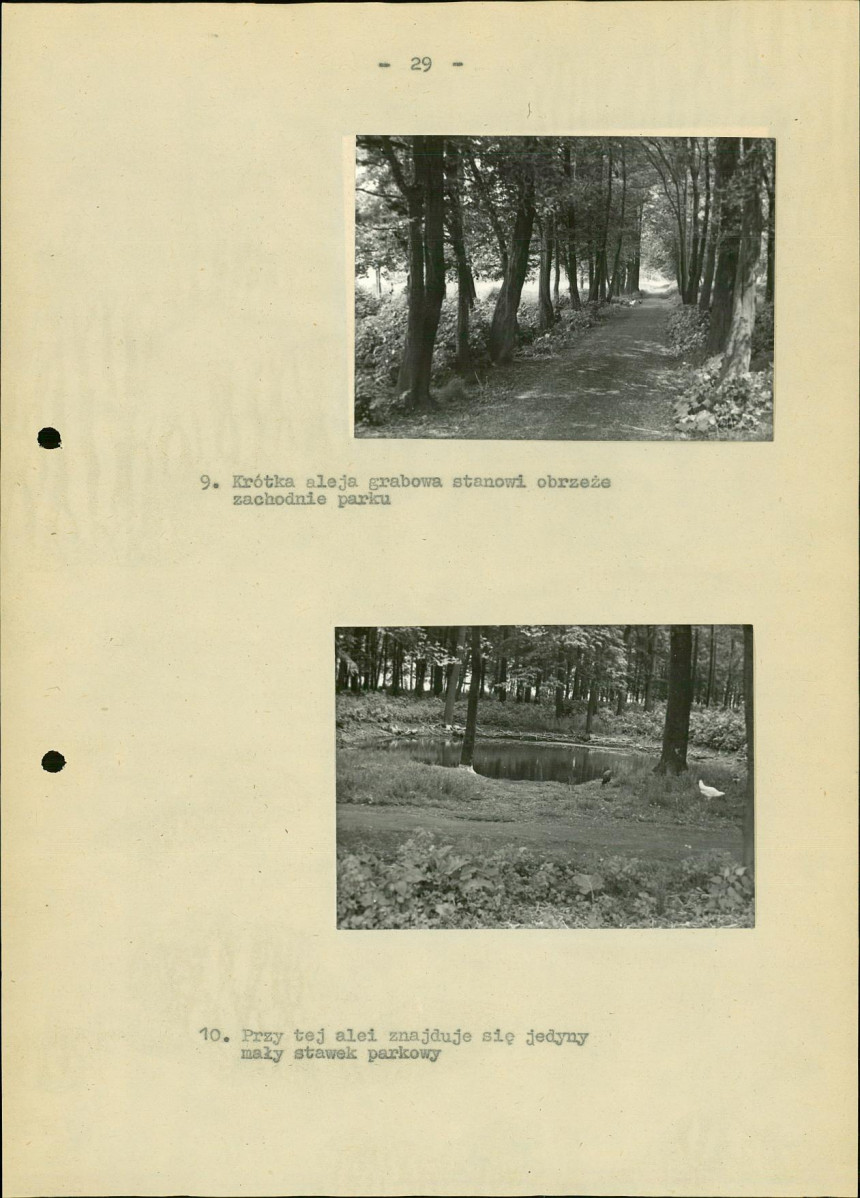 Ewidencja parkowa, skan nr 36