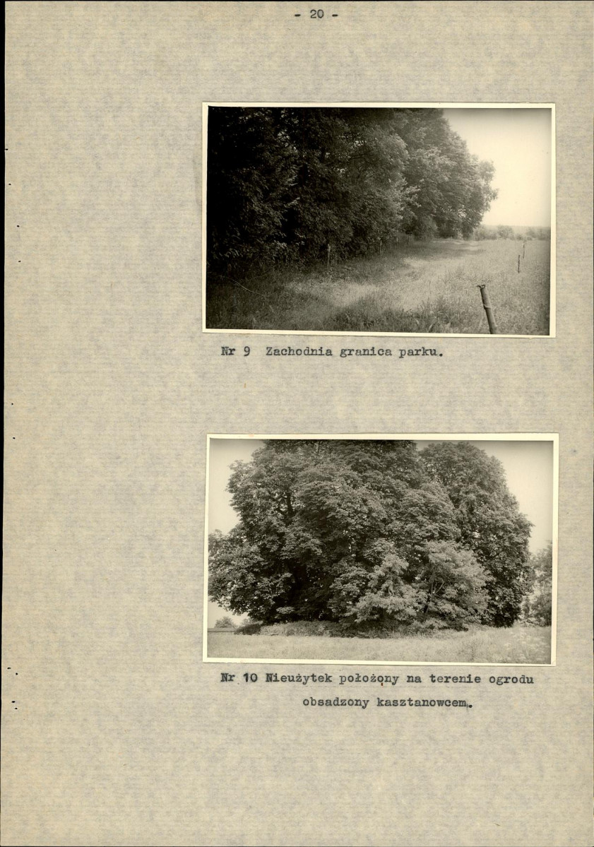 Ewidencja parkowa, skan nr 27