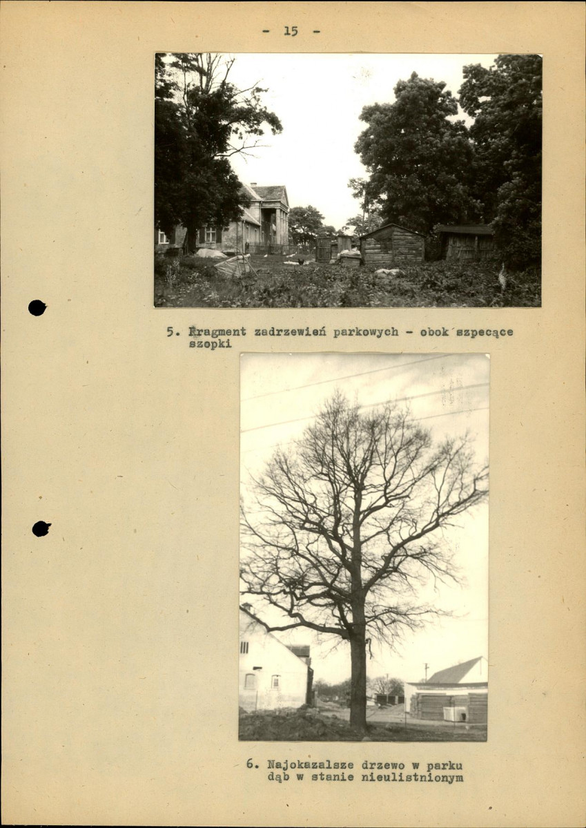 Ewidencja parkowa, skan nr 22