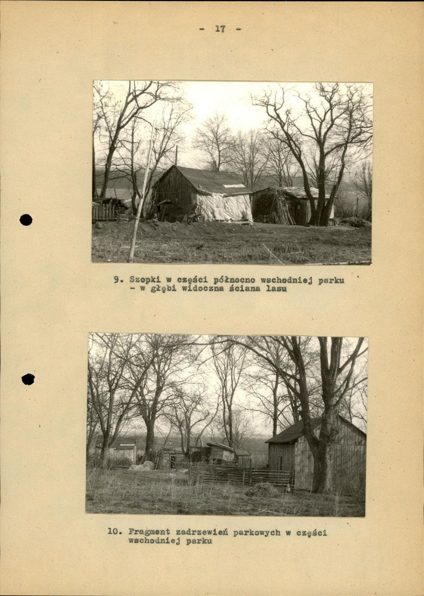 Ewidencja parkowa, skan nr 24