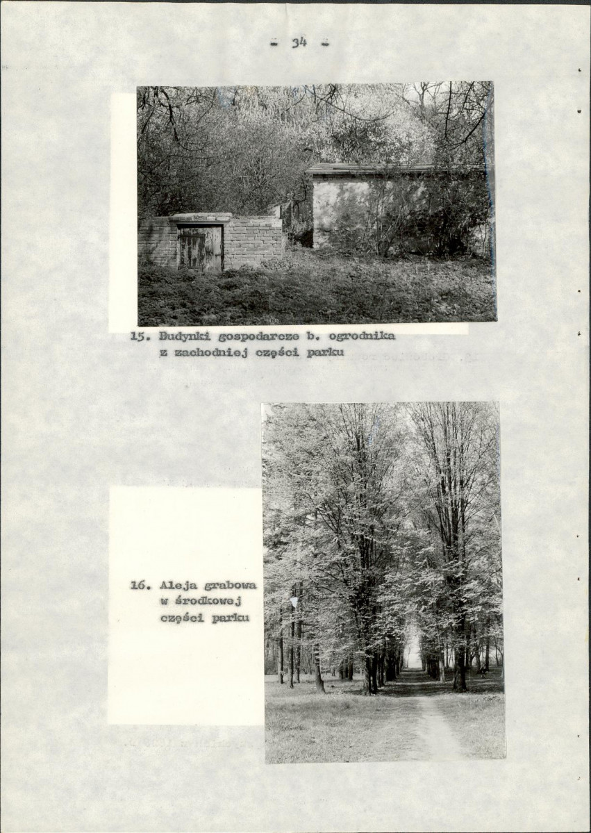 Ewidencja parkowa, skan nr 41