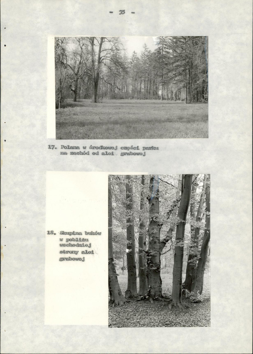 Ewidencja parkowa, skan nr 42