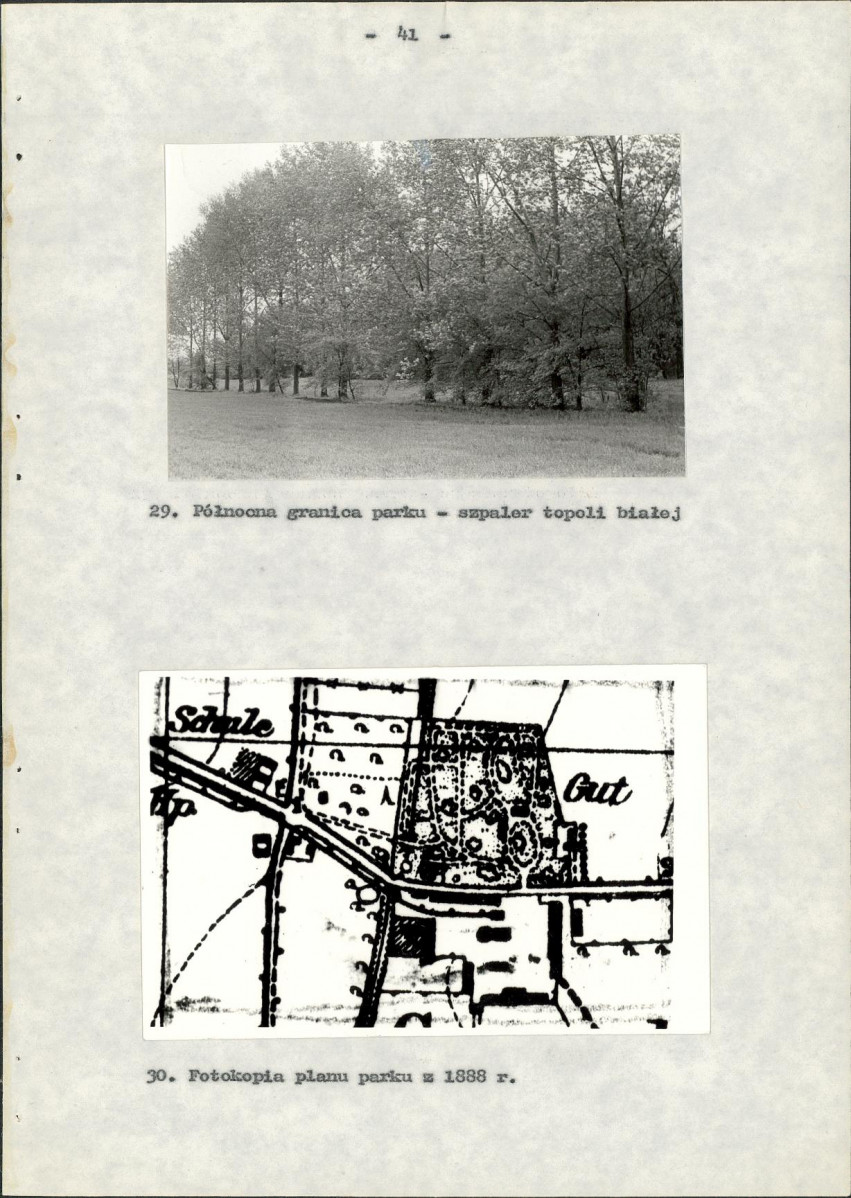 Ewidencja parkowa, skan nr 48