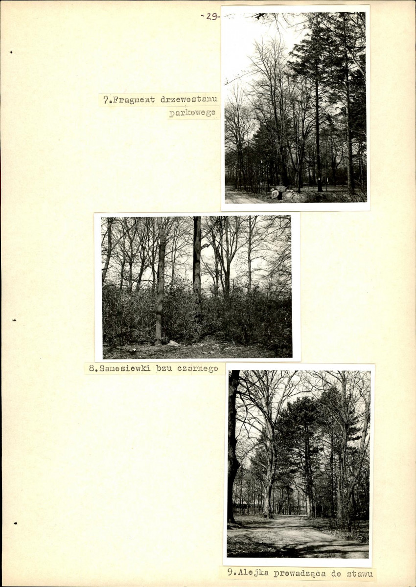 Ewidencja parkowa, skan nr 41
