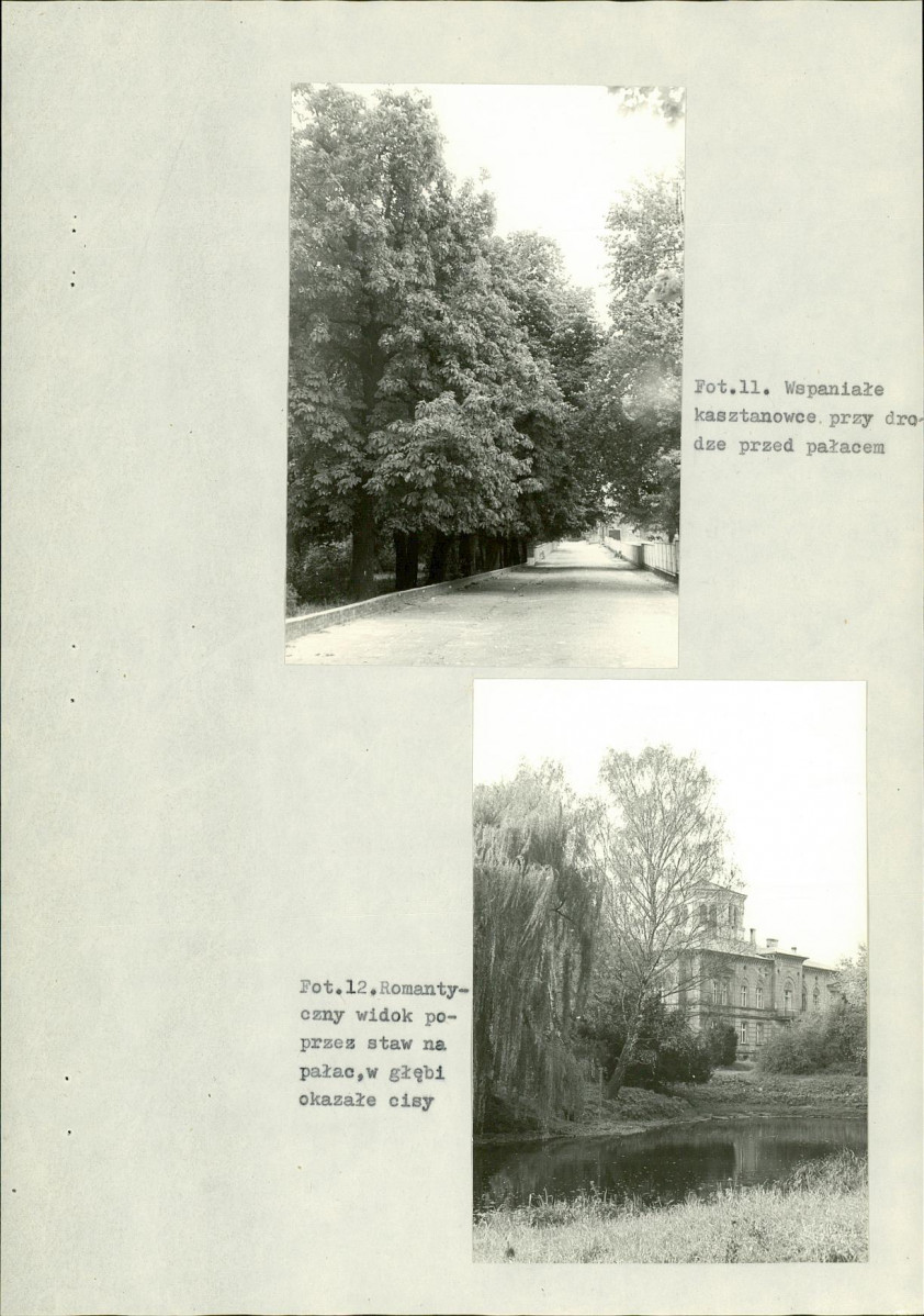 Ewidencja parkowa, skan nr 28