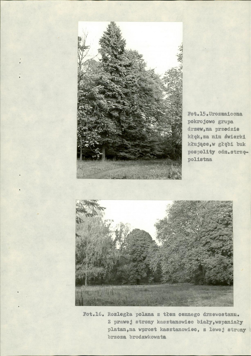 Ewidencja parkowa, skan nr 30