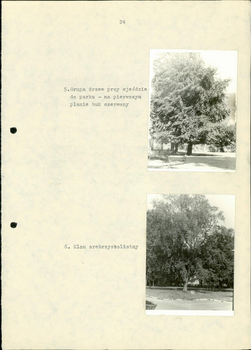 Ewidencja parkowa, skan nr 34