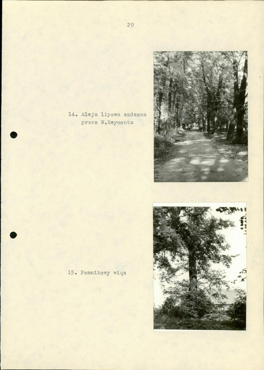 Ewidencja parkowa, skan nr 39