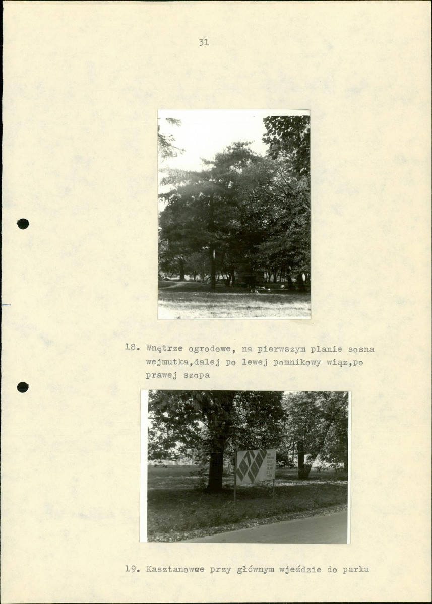 Ewidencja parkowa, skan nr 41