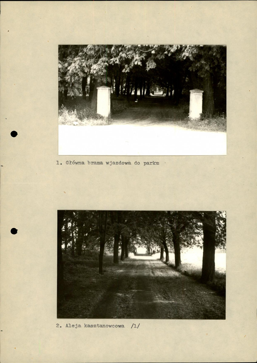 EP - Ewidencja parkowa, skan nr 25