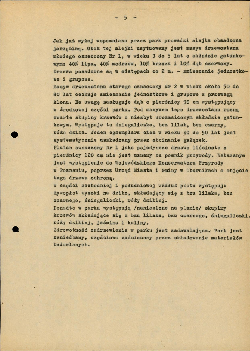 Ewidencja parkowa, skan nr 13