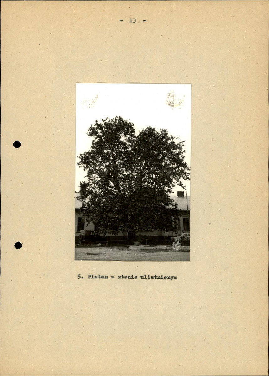 Ewidencja parkowa, skan nr 21