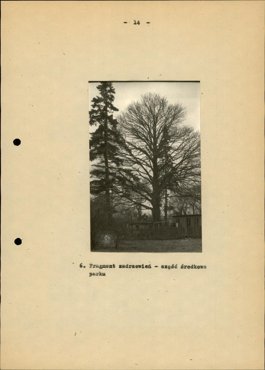 Ewidencja parkowa, skan nr 22
