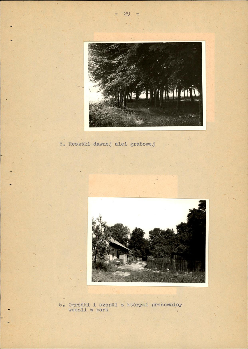EP - Ewidencja parkowa, skan nr 37