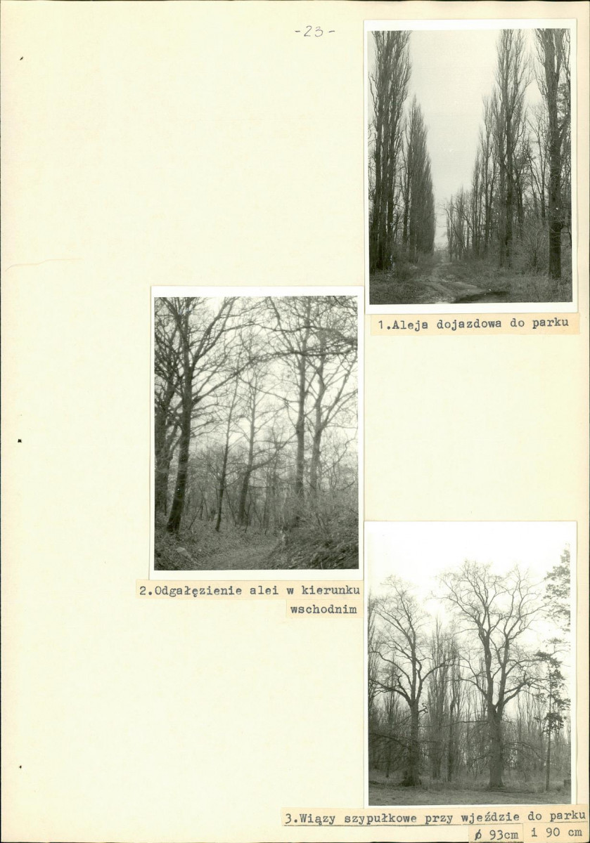 Ewidencja parkowa, skan nr 34