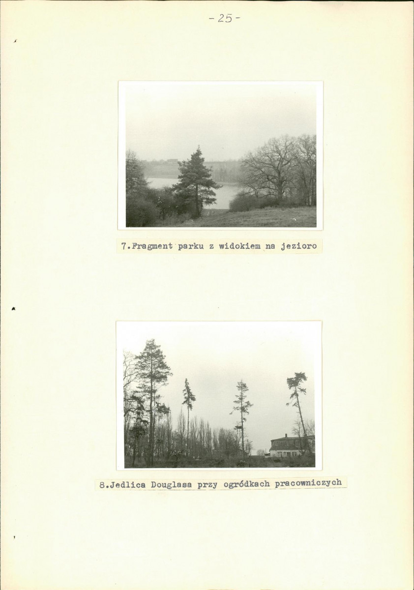 Ewidencja parkowa, skan nr 36