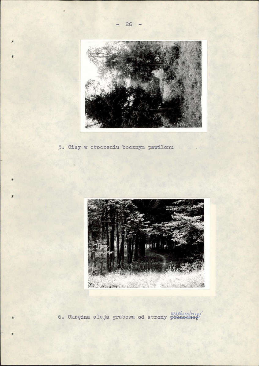 Ewidencja parkowa, skan nr 34
