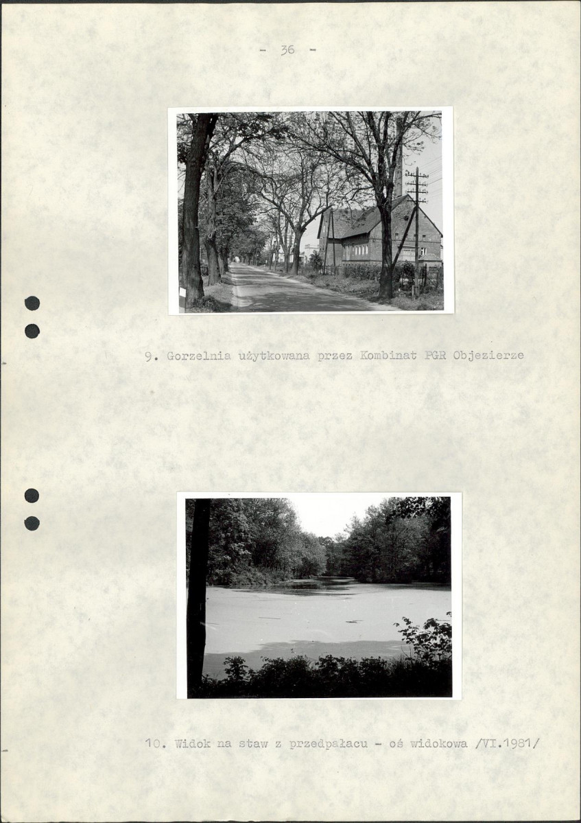 Ewidencja parkowa, skan nr 42