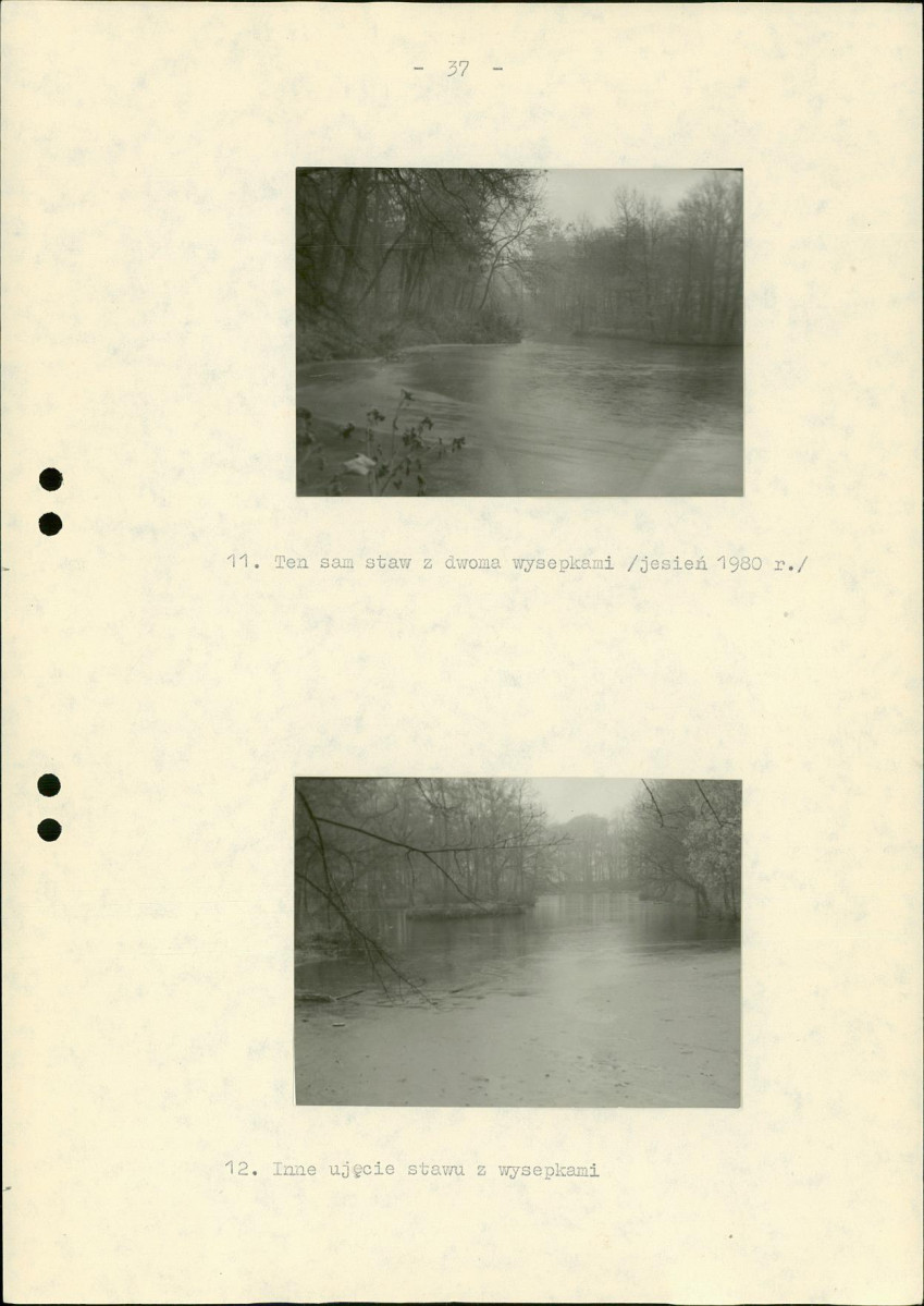 Ewidencja parkowa, skan nr 43