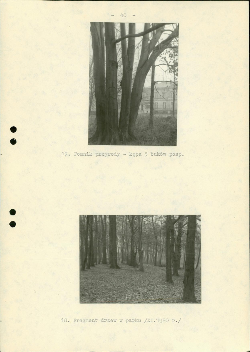 Ewidencja parkowa, skan nr 46