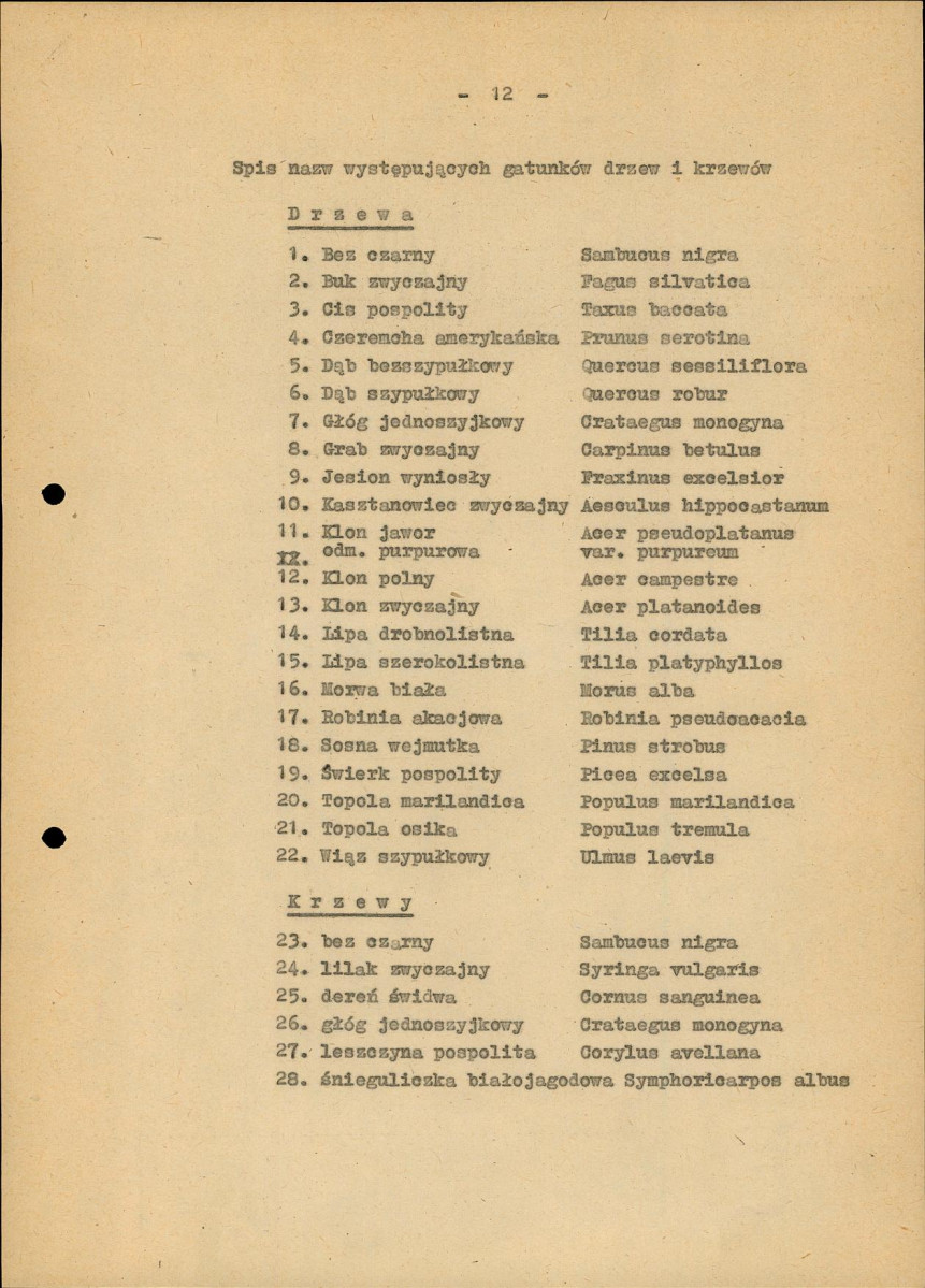 Ewidencja parkowa, skan nr 19