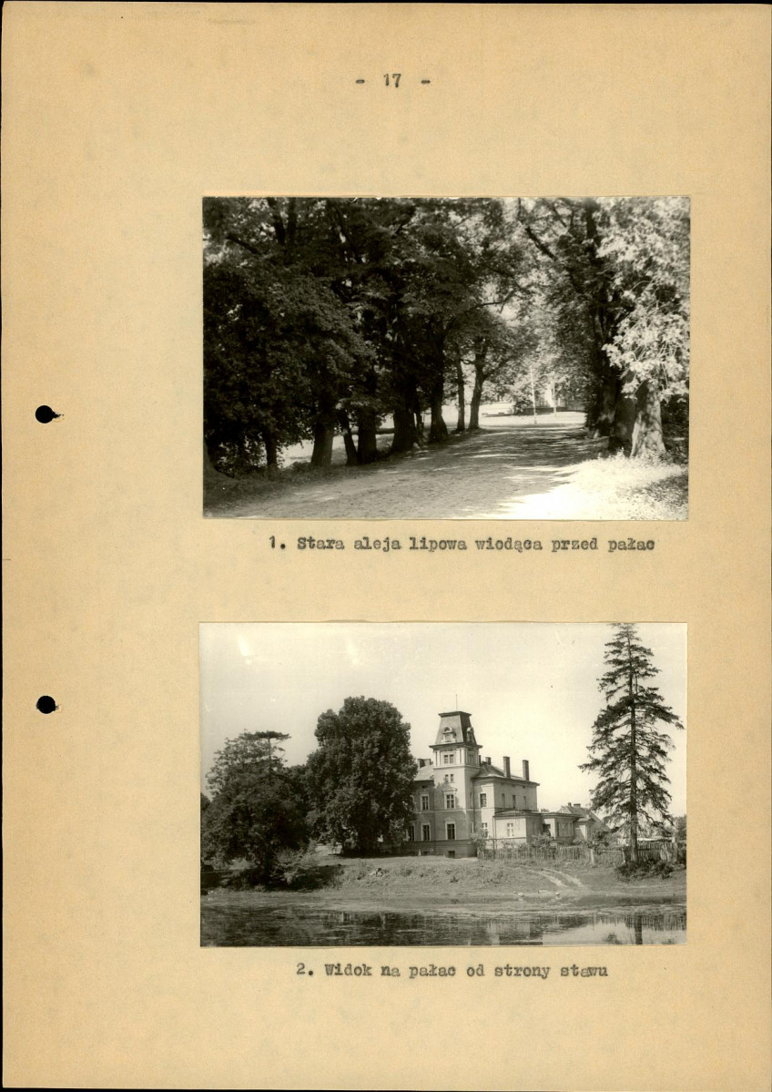 Ewidencja parkowa, skan nr 24